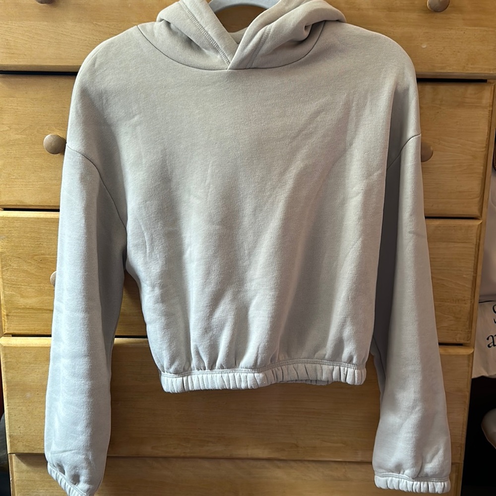 ZARA Cropped Hoodie